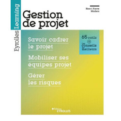 Gestion de projet : savoir cadrer le projet mobiliser ses équipes projet gérer les risques