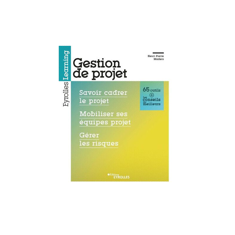 Gestion de projet : savoir cadrer le projet mobiliser ses équipes projet gérer les risques